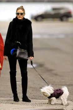 olivia palermo sunglasses